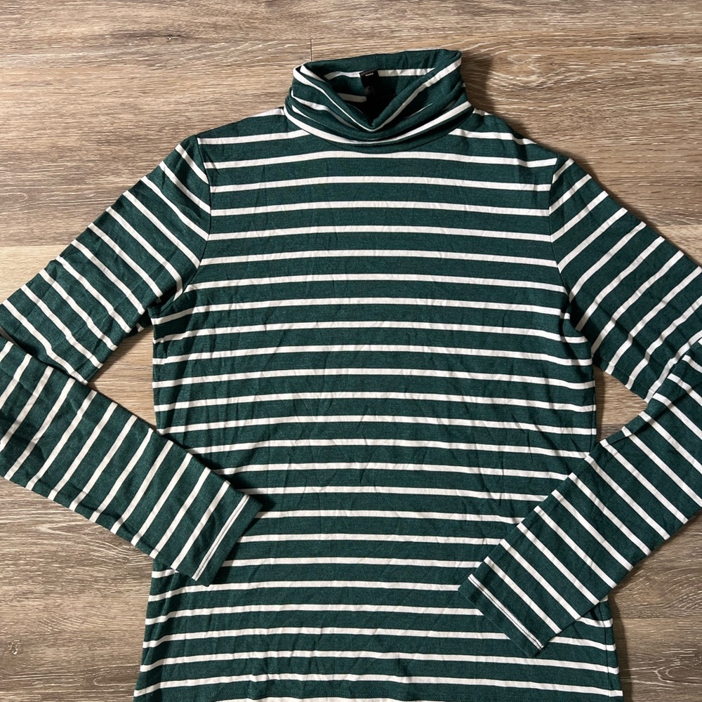 Banana Republic Green Striped Turtleneck